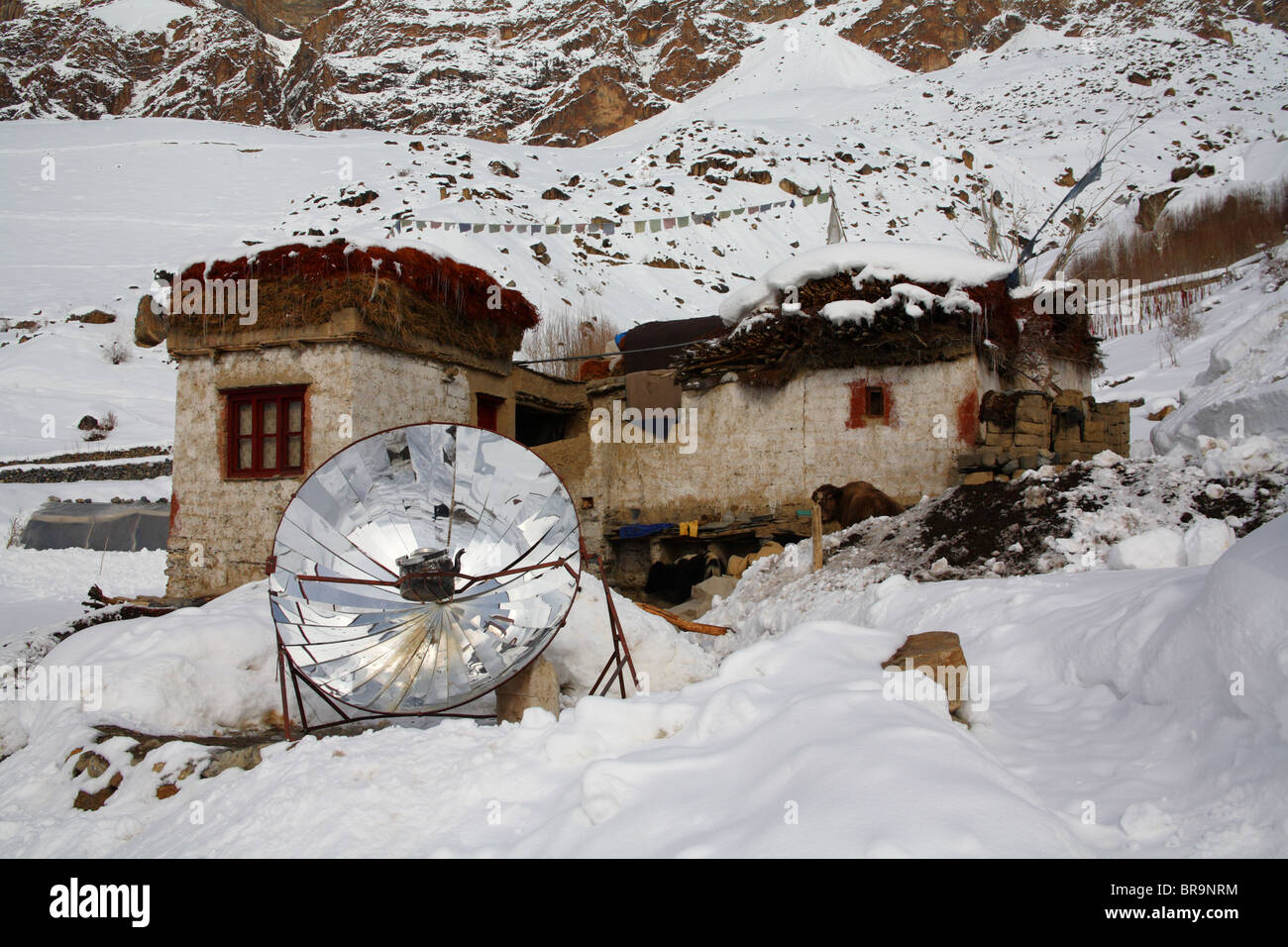 L'hiver au Ladakh, Inde. Banque D'Images