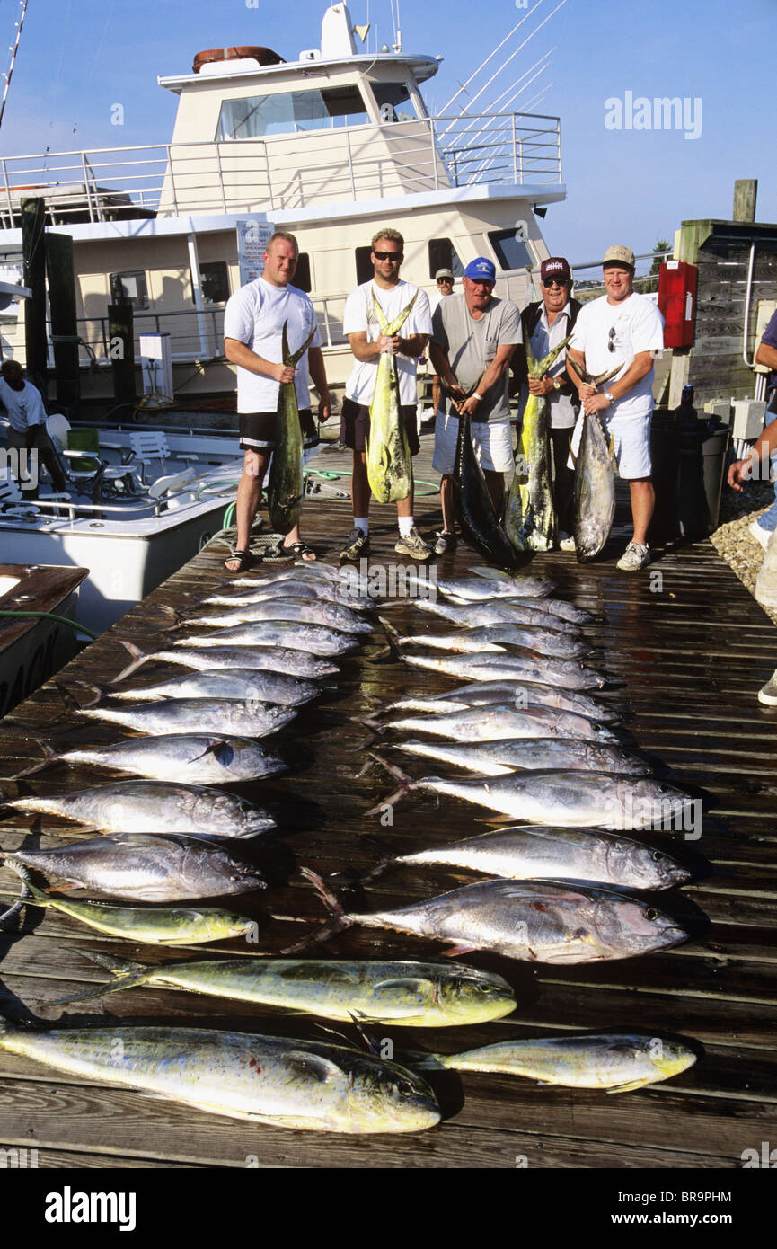 Groupe de pêcheurs AVEC DES CAPTURES DE THON ROUGE ET CORYPHÈNES OUTER BANKS, NC Banque D'Images