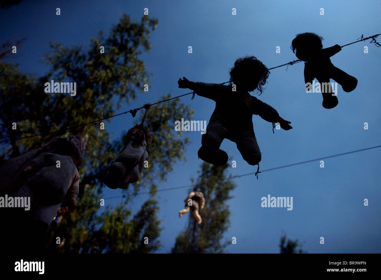 Dolls accrocher sur une corde à linge sur l'île des poupées dans le sud de Mexico, Xochimilco Banque D'Images