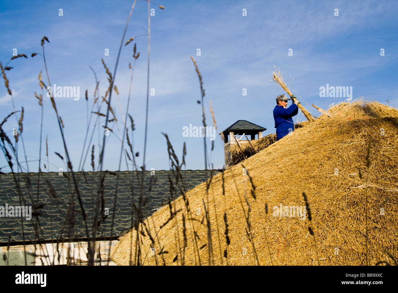 Un homme construit un nouveau toit de chaume dans le village d'O Cebreiro situé le long du chemin de pèlerinage de Saint-Jacques-de Galice en Espagne. Banque D'Images