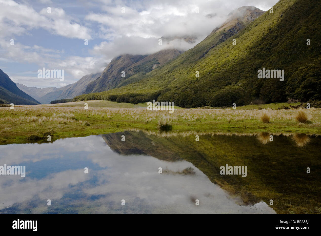 La vallée de la rivière Greenstone dans l'Otago. Banque D'Images