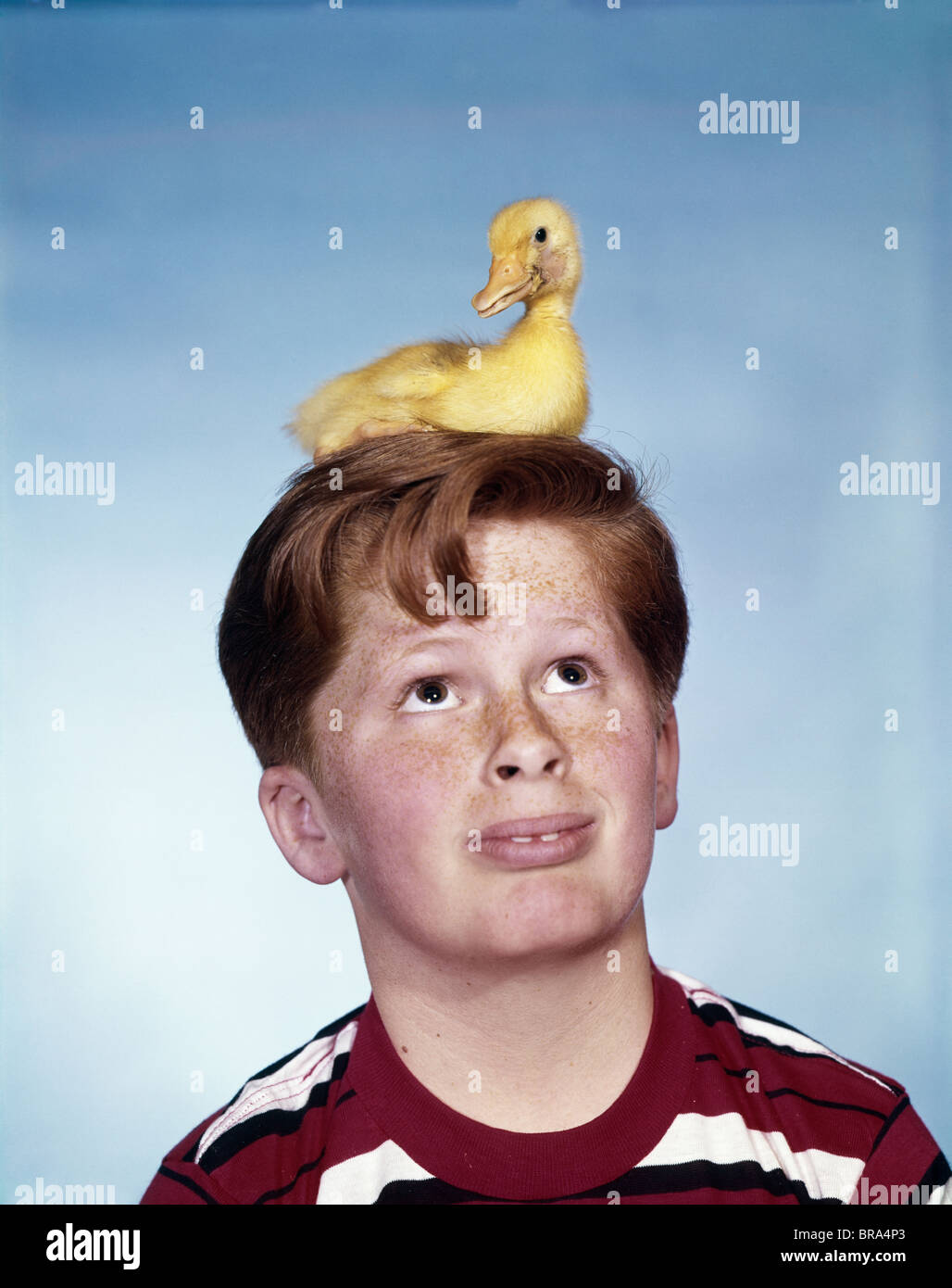 Années 1950 Années 1960 AVEC Bébé garçon petit canard assis sur sa tête l'EXPRESSION SUR LE VISAGE DRÔLE humoristique Banque D'Images