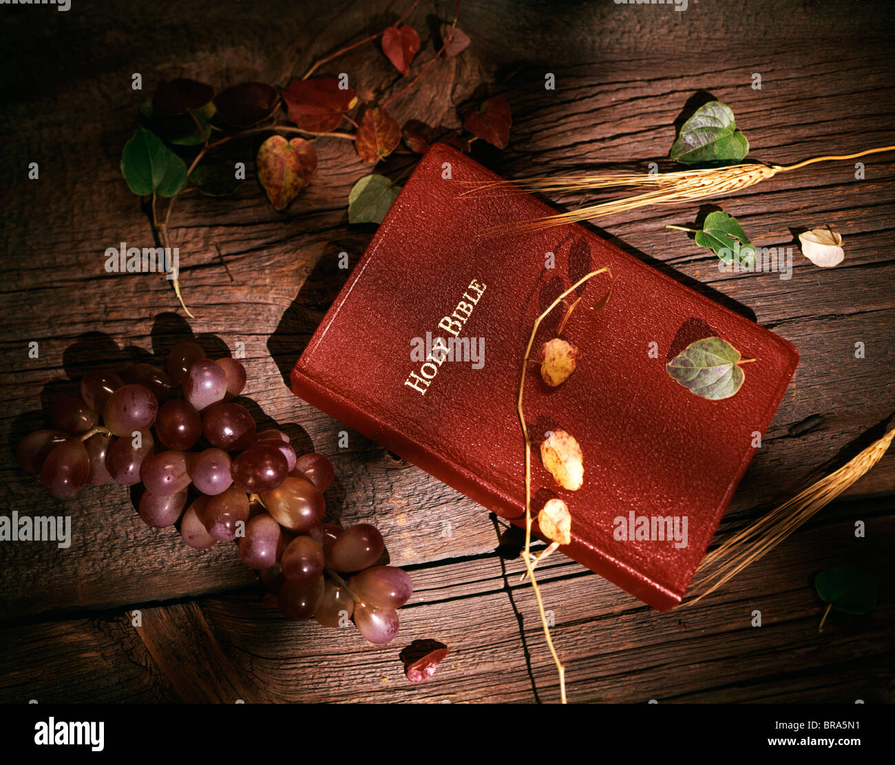 La VIE TOUJOURS DE LA SAINTE BIBLE SUR FOND DE BOIS AVEC DES RAISINS ET DU BLÉ Banque D'Images
