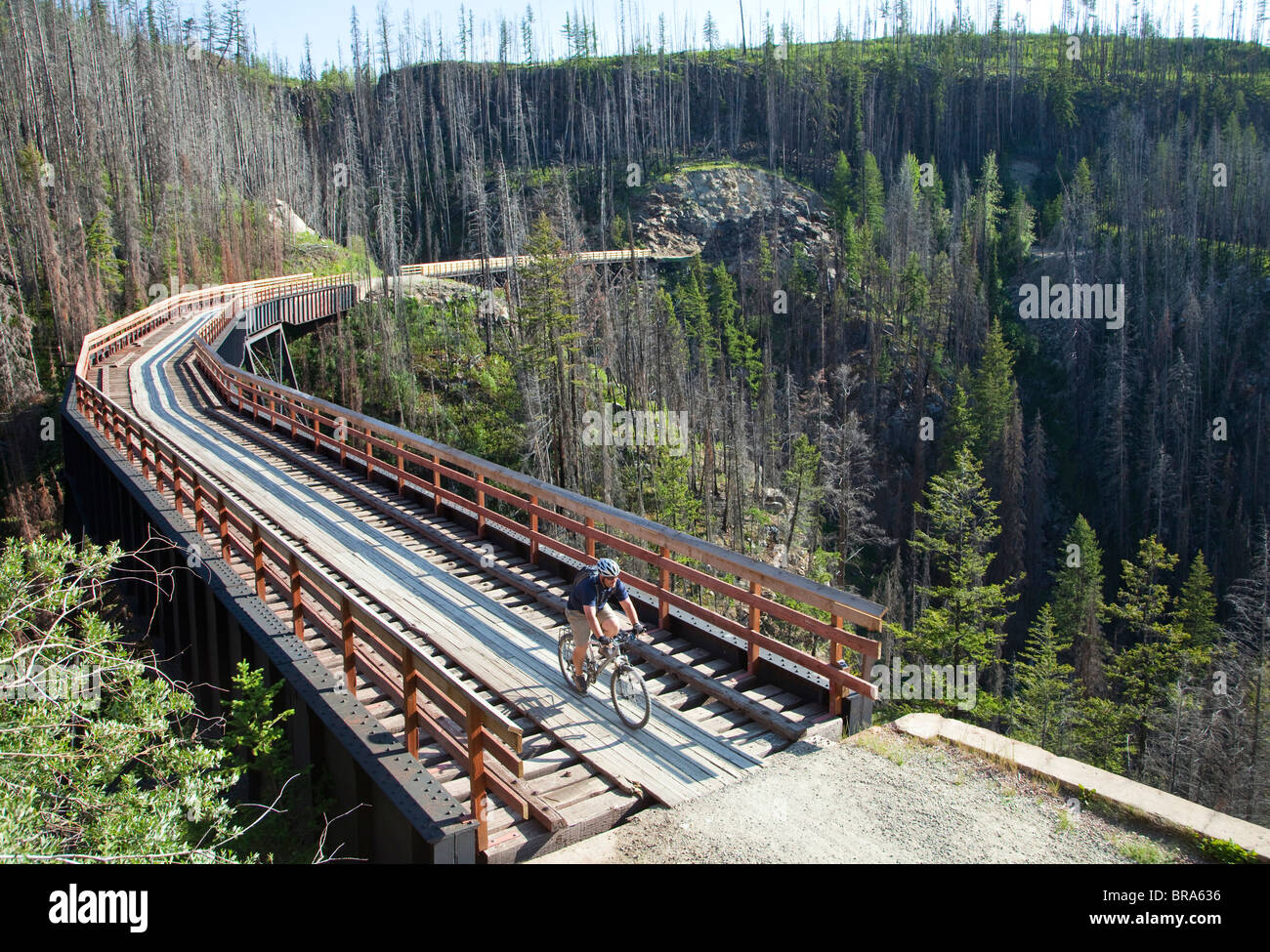 Des promenades en bicyclette à travers trestle à canyon Myra sur la piste cyclable du chemin de fer de Kettle Valley près de Kelowna, Colombie-Britannique, Canada Banque D'Images