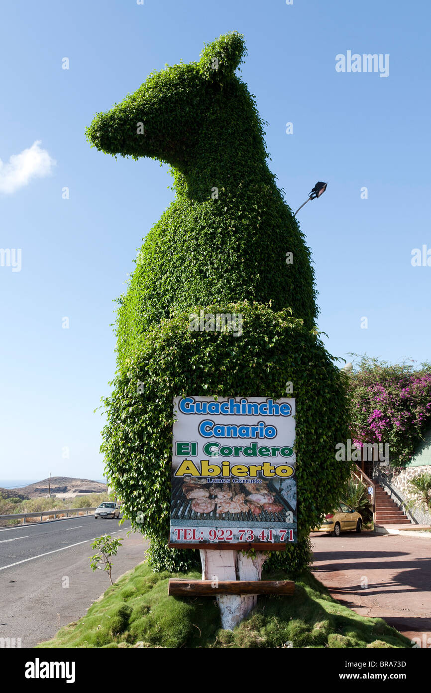 Un groupe d'arbres taillés en forme d'agneau géant topiary pour annoncer un restaurant à Guargacho à Ténérife Banque D'Images