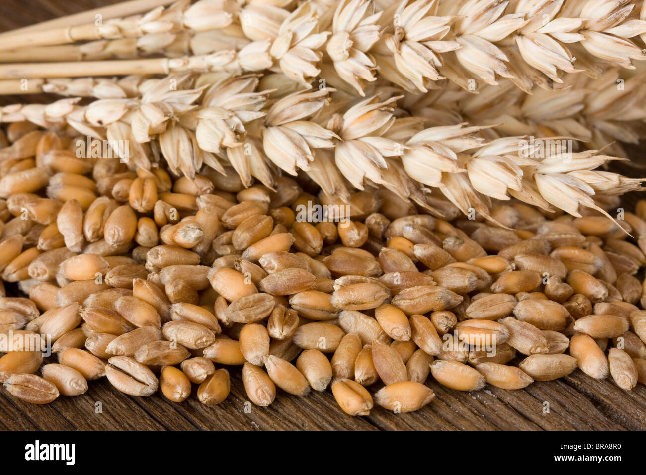 Le blé sur un bureau en bois Banque D'Images