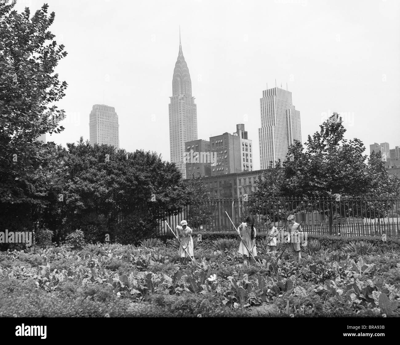 1940 1943 LES ENFANTS TRAVAILLANT DANS DES JARDINS DE LA VICTOIRE À ST. GABRIEL'S PARK NEW YORK CHRYSLER BUILDING VISIBLE EN ARRIÈRE-PLAN Banque D'Images