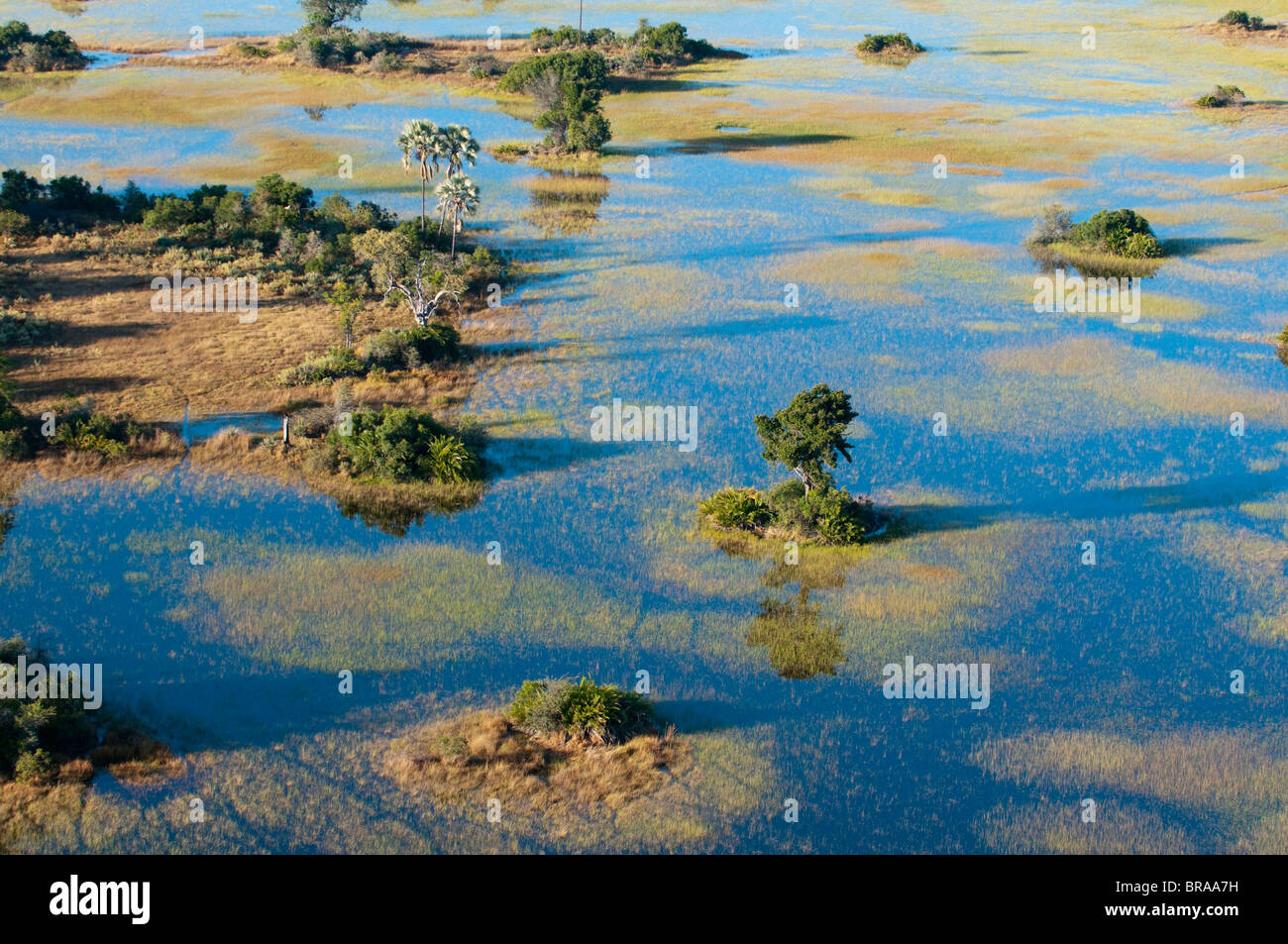 Vue aérienne de Delta de l'Okavango, Botswana, Africa Banque D'Images