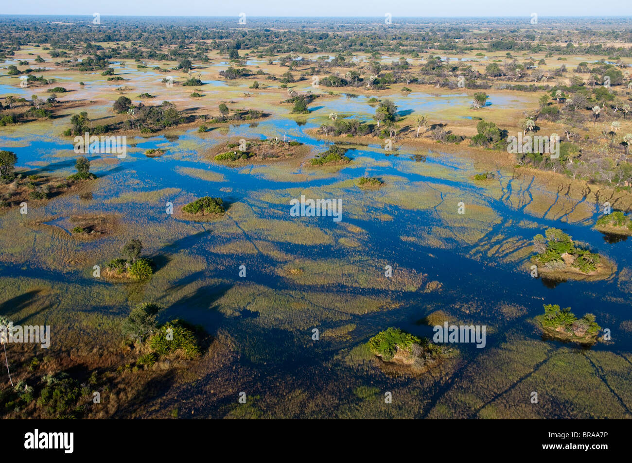 Vue aérienne de Delta de l'Okavango, Botswana, Africa Banque D'Images