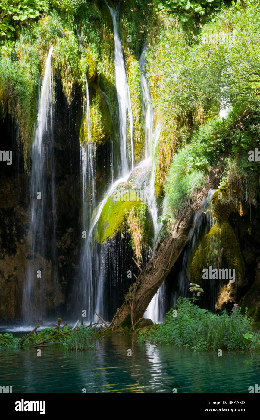 Cascades dans le parc national des Lacs de Plitvice, classé au Patrimoine Mondial de l'UNESCO, la Croatie, l'Europe Banque D'Images