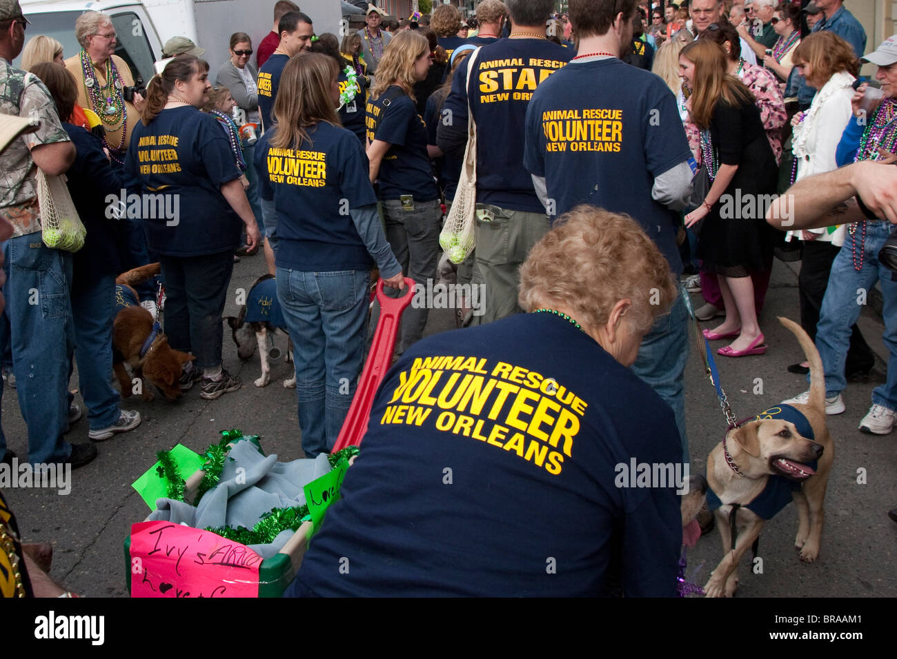 Les bénévoles de sauvetage des animaux chiens costumés défilent à La Nouvelle-Orléans au cours de l'Assemblée Barkus défilé du Mardi Gras. Banque D'Images