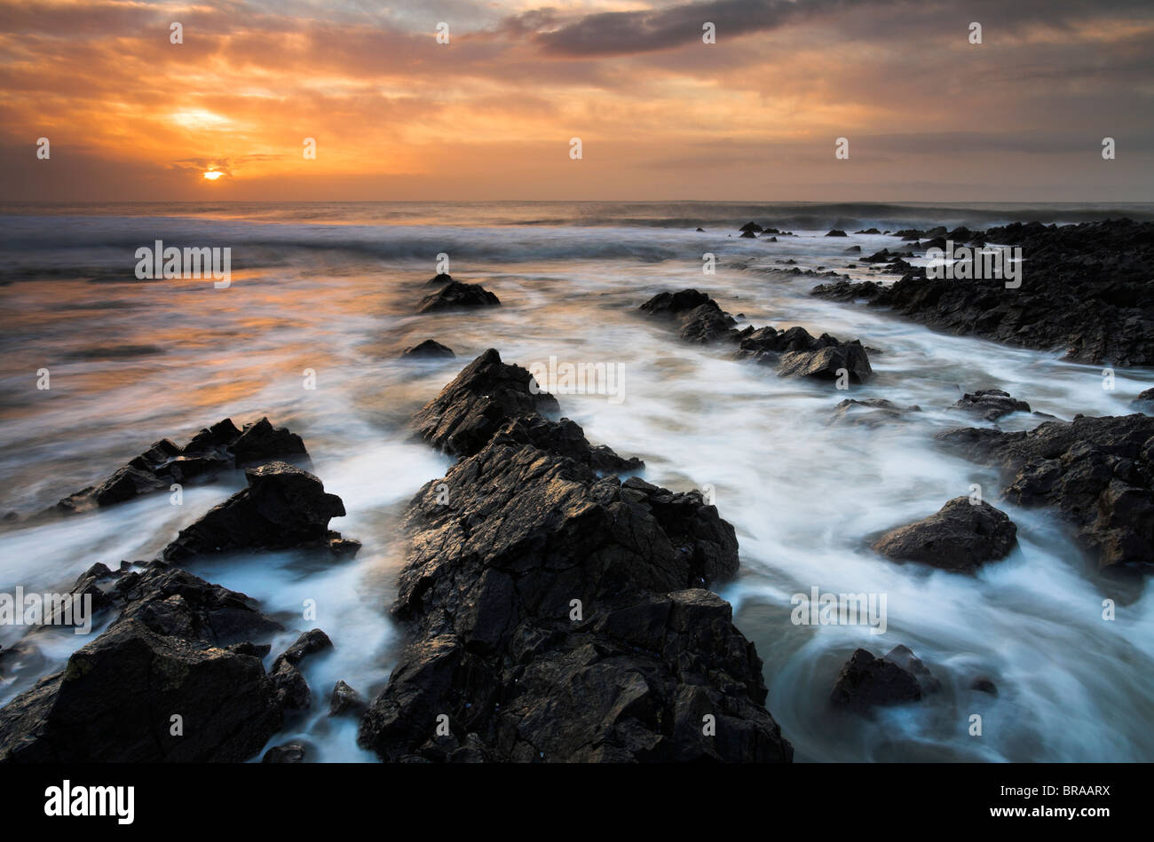 Côte de Gower robuste, dans le sud du Pays de Galles, Pays de Galles Banque D'Images