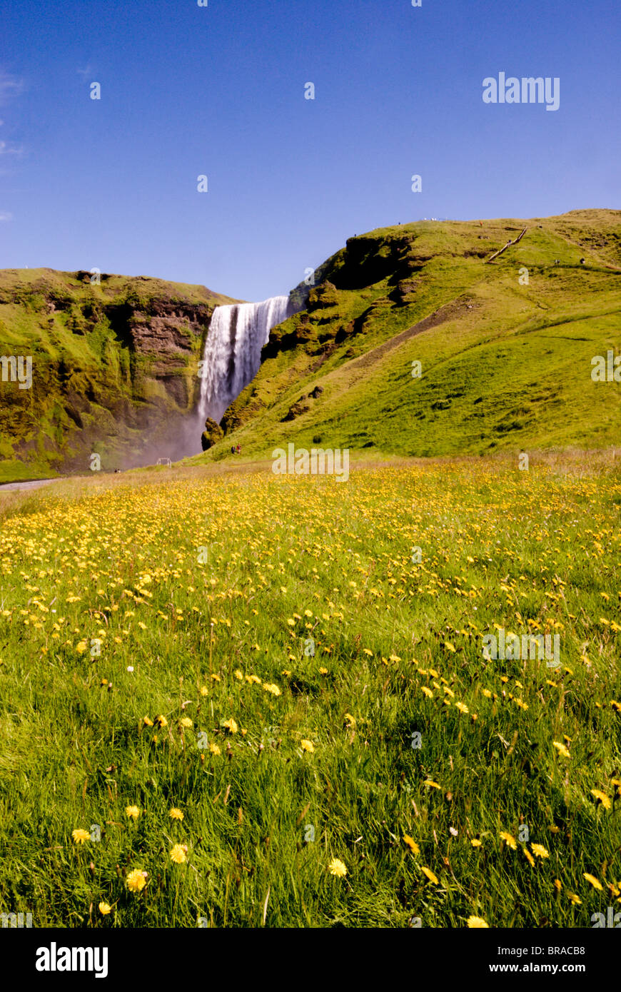 Cascades de Skogarfoss, le sud de l'Islande, les régions polaires Banque D'Images