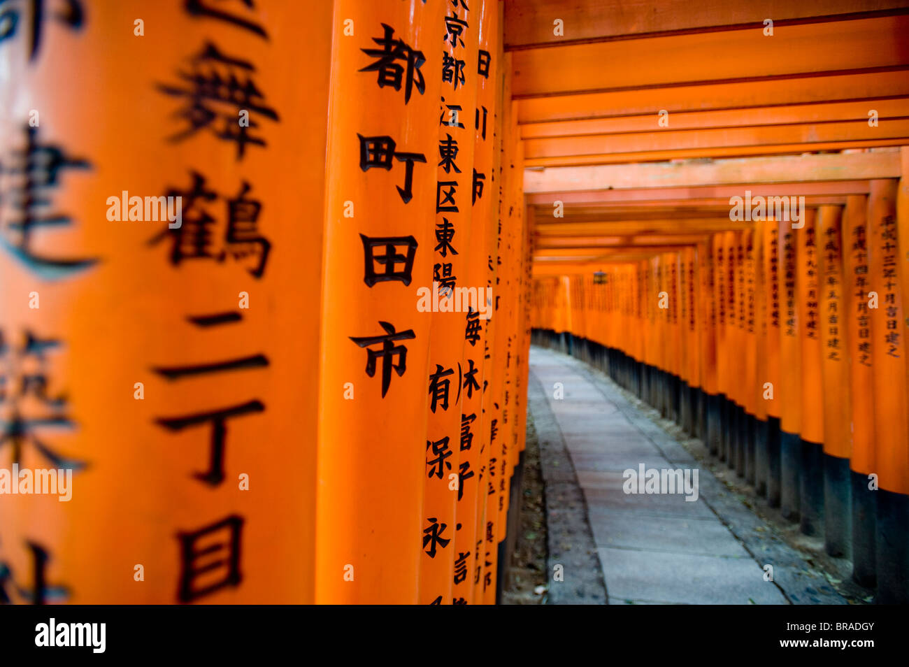 Sanctuaire Fushimi Inari, Tokyo, Japon, Asie Banque D'Images