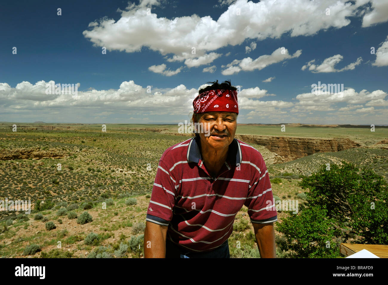 Orfèvre indiens Navajo et la pluie-bouilloire Al Johnson sur ses terres près de Cameron en Arizona USA Banque D'Images