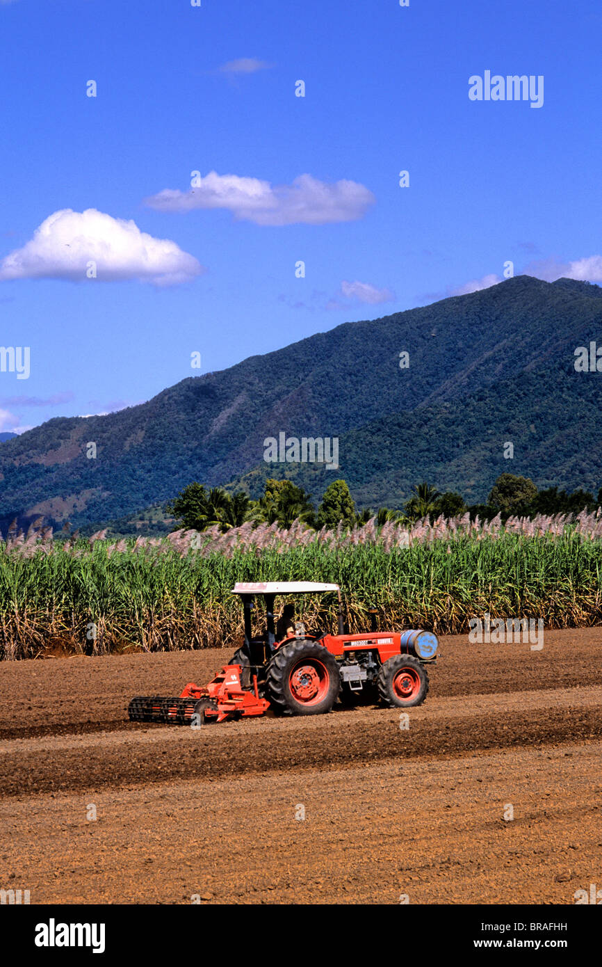 Tracteur labourer les champs au sucre Local ferme près de Rex Lookout à Cairns Australie Queensland Banque D'Images