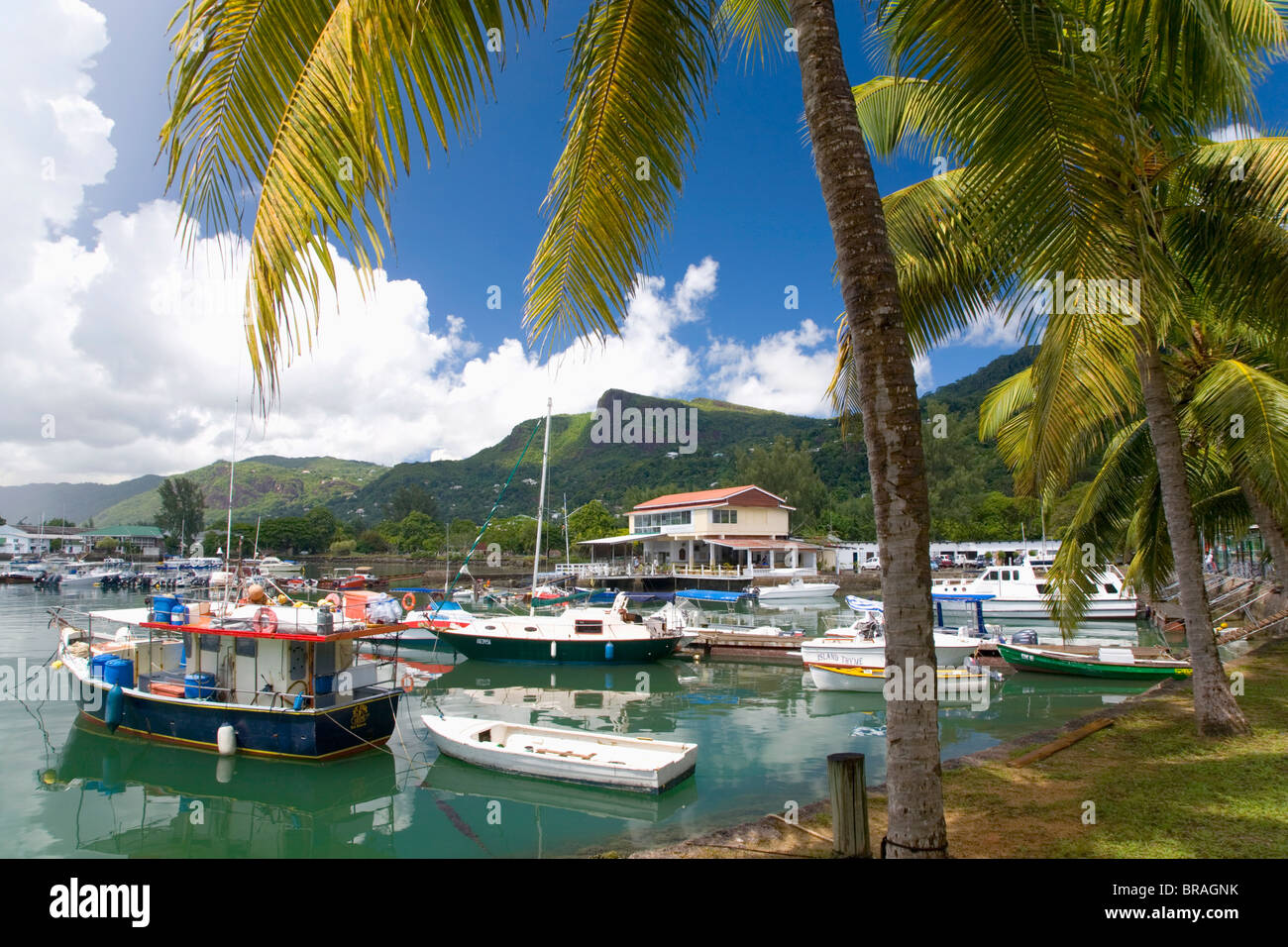 Le coloré port bordé de palmiers, Victoria, île de Mahé, Seychelles, océan Indien, Afrique Banque D'Images