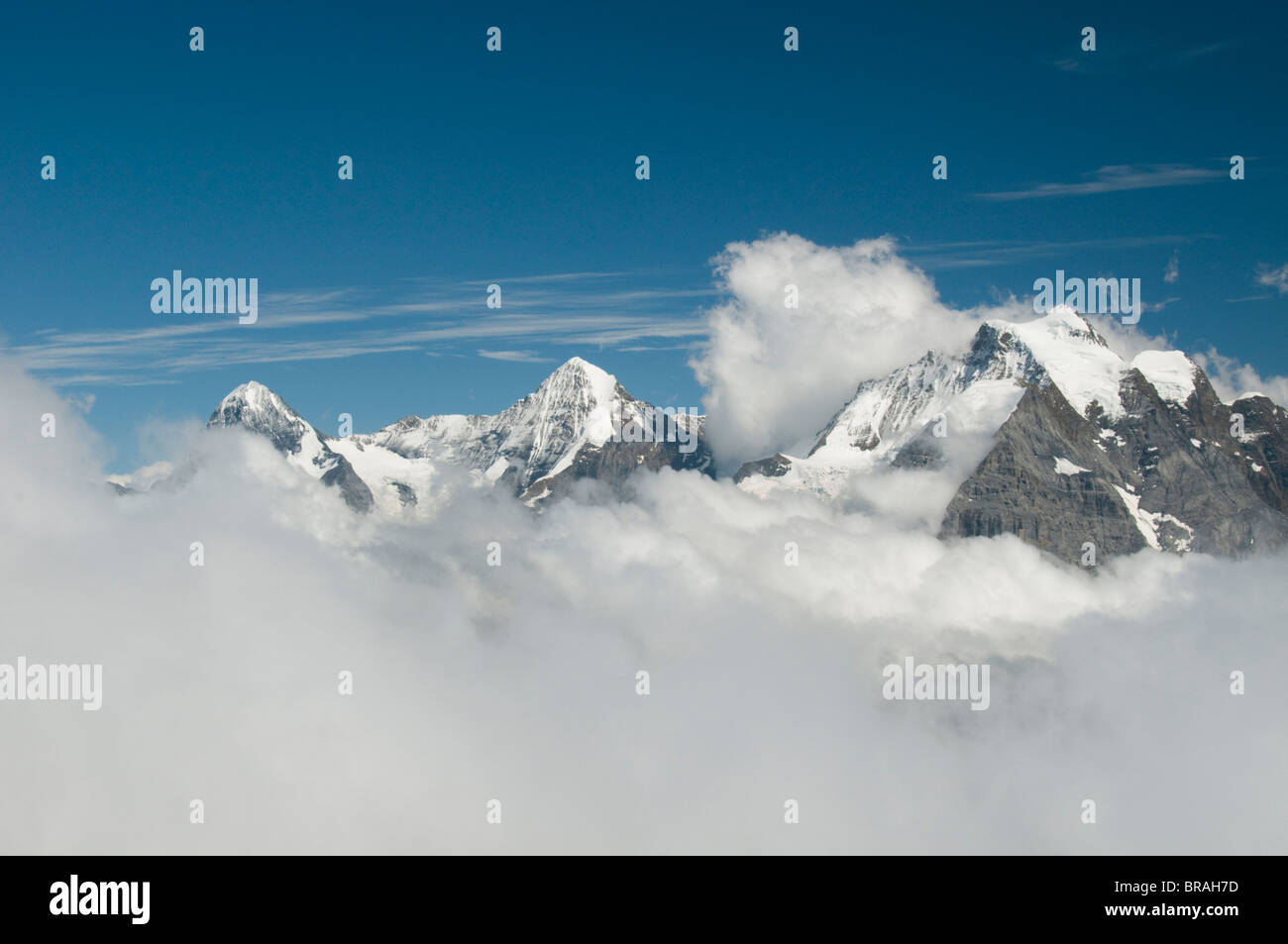 jungfrau-massif-banque-de-photographies-et-d-images-haute-r-solution