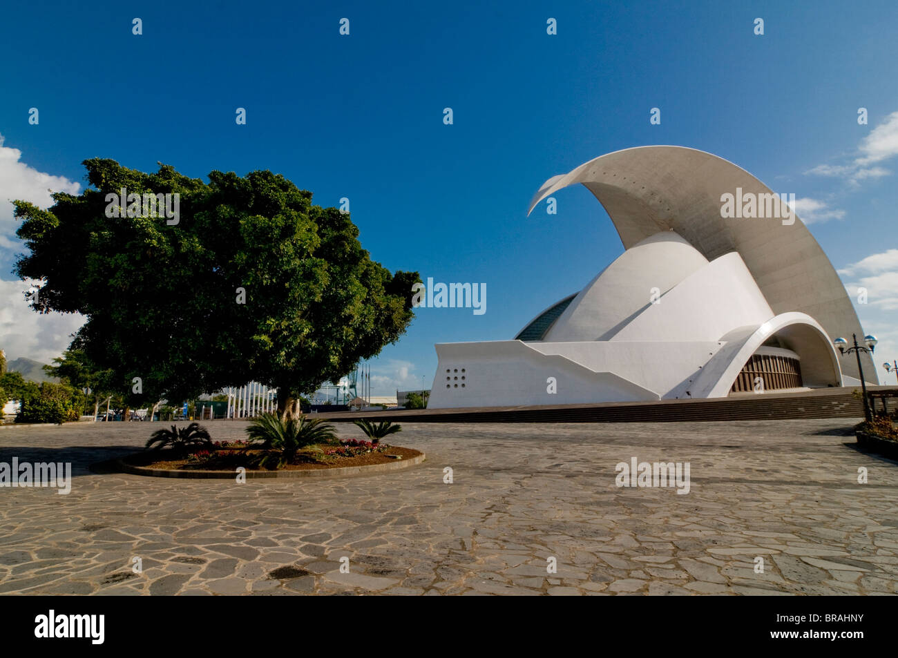 L'Opéra de Santa Cruz de Tenerife, par Santiago Calatrava, Santa Cruz, Tenerife, Canaries, Espagne Banque D'Images