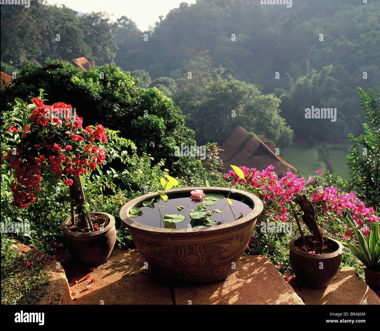 Jardins de loisirs dans la vallée de Mae Sa près de Chiang Mai, Thaïlande, Asie du Sud-Est, Asie Banque D'Images