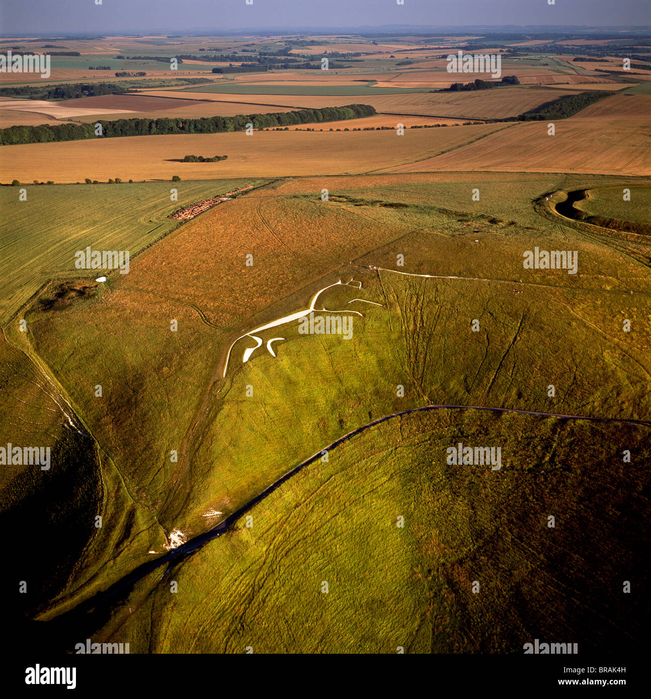L'image aérienne d'Uffington White Horse avec Uffington Castle Hill fort, Berkshire Downs, Vale of White Horse, Oxfordshire, UK Banque D'Images