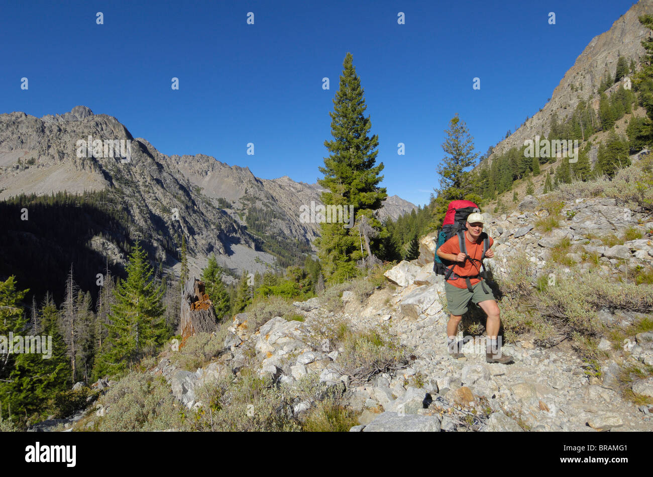 Randonnée dans la vallée du ruisseau Baron, désert, en dents de scie National Recreation Area, Rocky Mountains, Colorado, USA Banque D'Images