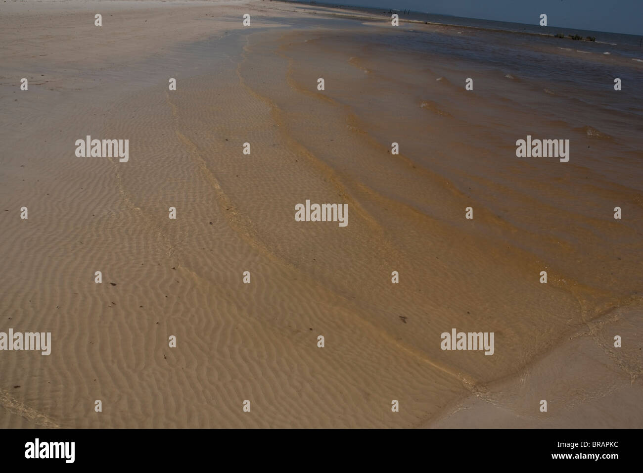 L'huile du déversement de pétrole de BP dans le golfe du Mexique couvre le rivage de Waveland, Mississippi. Banque D'Images