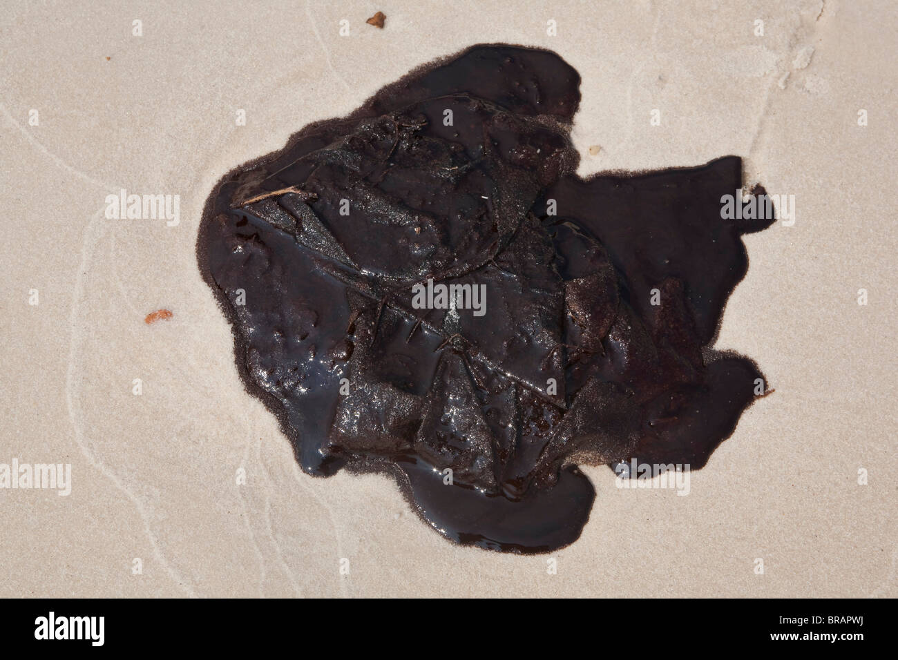 L'huile du déversement de pétrole de BP dans le golfe du Mexique couvre le rivage de Waveland, Mississippi. Banque D'Images