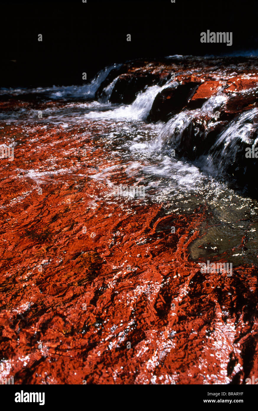 Quebrada de jaspe, Jasper cascade rocheuse, Gran Sabana, Venezuela, Amérique du Sud Banque D'Images
