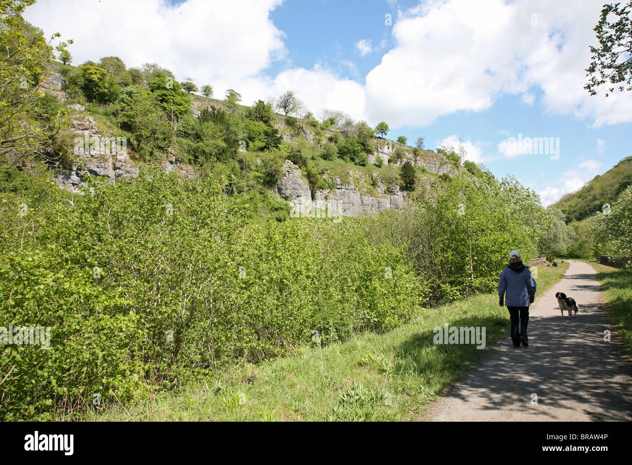 Une femme marchant son chien sur la ligne de chemin de fer disutilisée à Chee Dale, Derbyshire, Peak District National Park, Angleterre, Royaume-Uni Banque D'Images