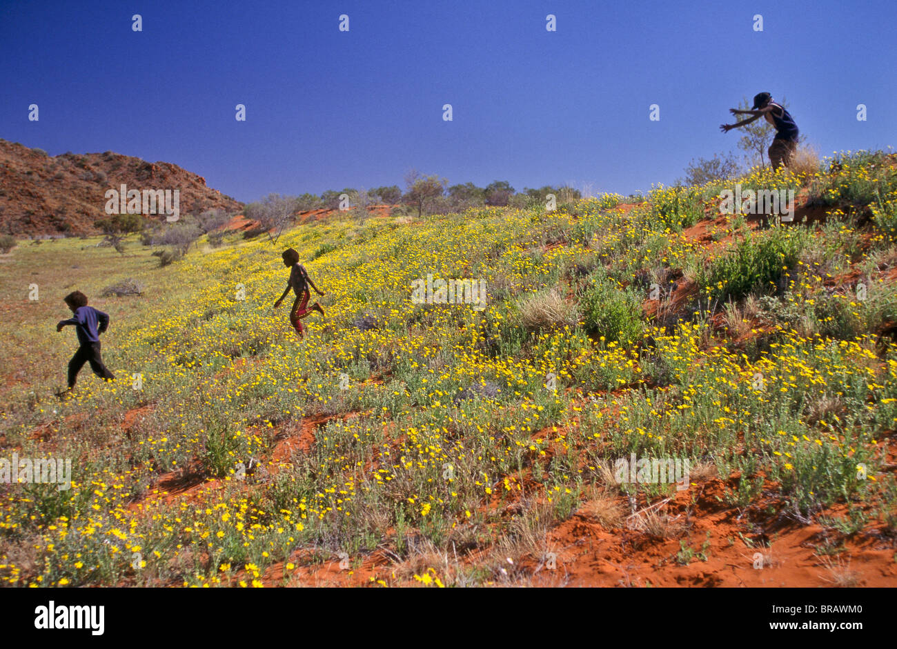 Les garçons sur les dunes couvertes de fleurs, de l'Australie du Sud Banque D'Images