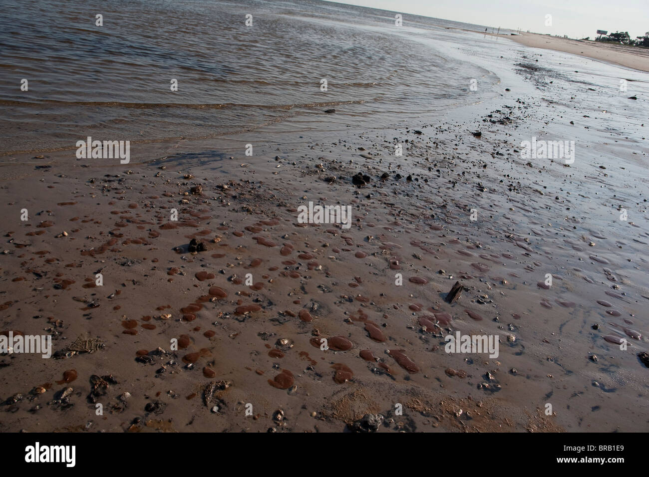 L'huile du déversement de pétrole de BP dans le golfe du Mexique couvre le rivage de Waveland, Mississippi. Banque D'Images