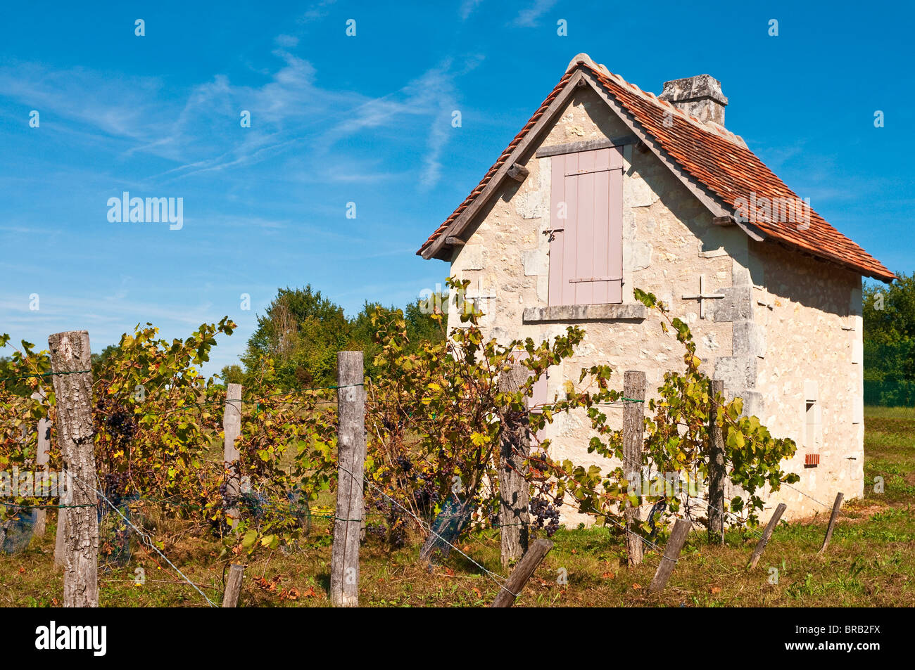 Petite maison et de vignobles - Indre-et-Loire, France. Banque D'Images