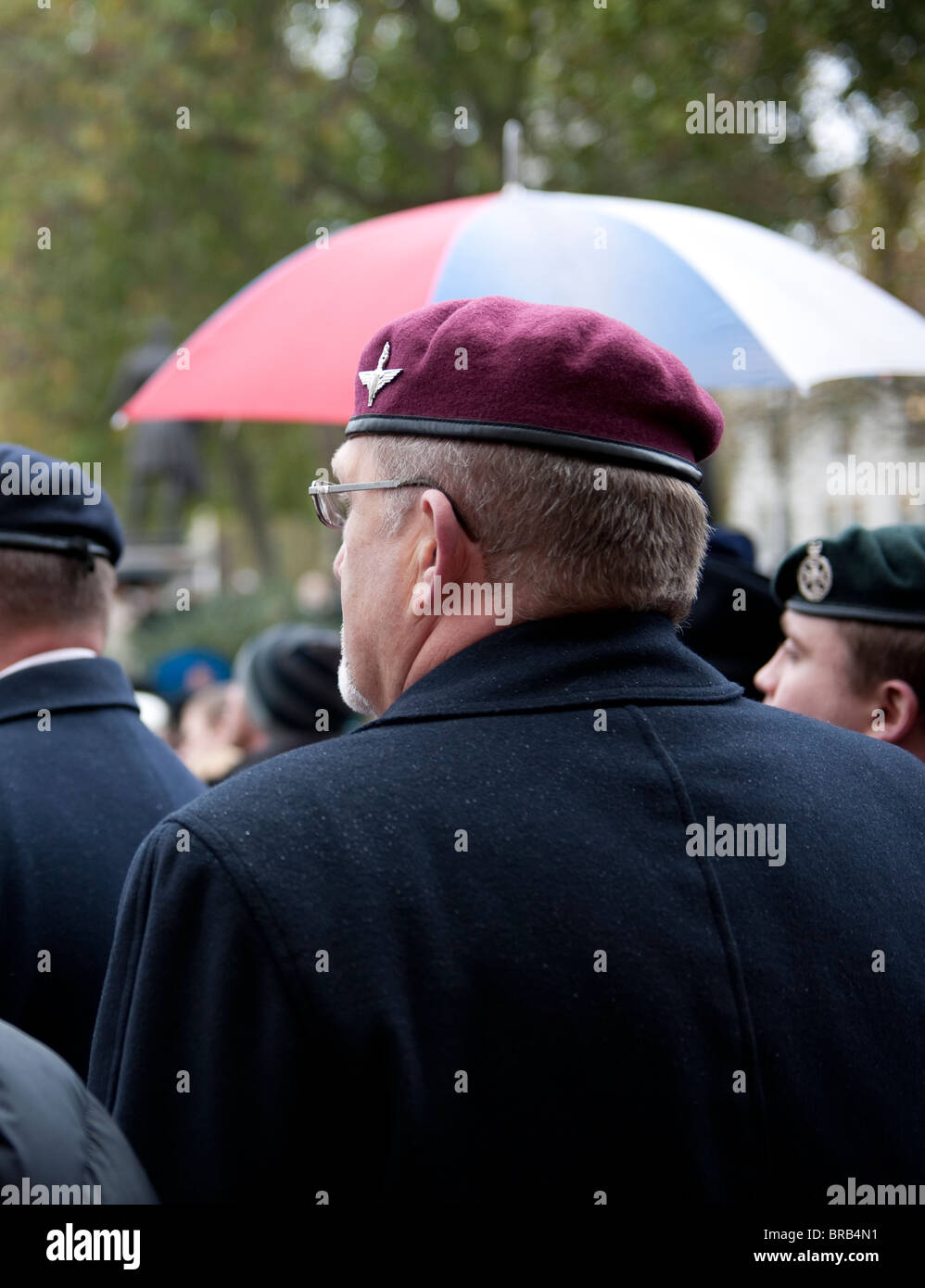 Vue arrière de l'ex-parachutiste portant son béret rouge à regarder le  défilé du jour du Souvenir à Whitehall, Londres Photo Stock - Alamy