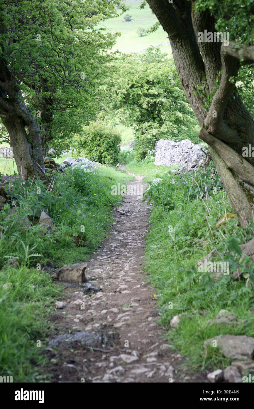 Chemin et murs en pierre sèche calcaire près de Chee Dale Derbyshire Peak District National Park England UK Banque D'Images