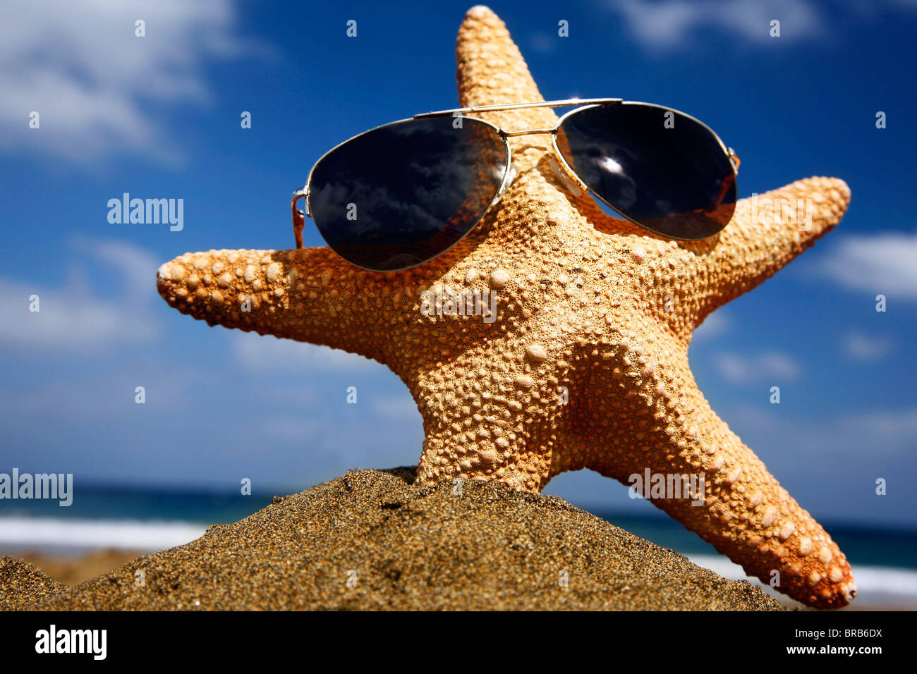 Étoile de mer sur une plage ensoleillée avec des lunettes Photo Stock -  Alamy