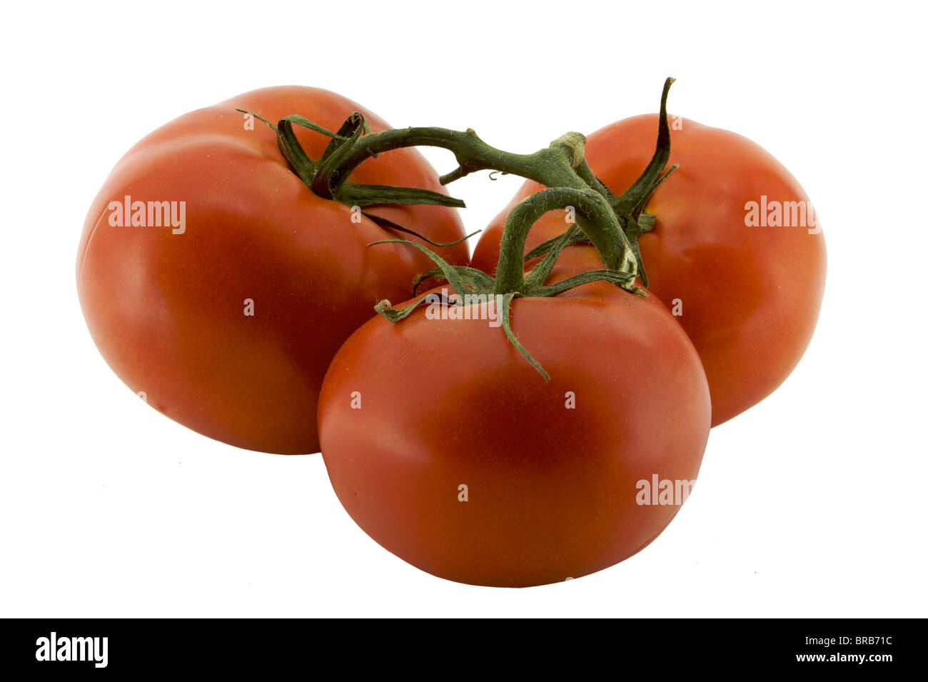 Trois tomates rouges sur une vigne verte isolated on white Banque D'Images