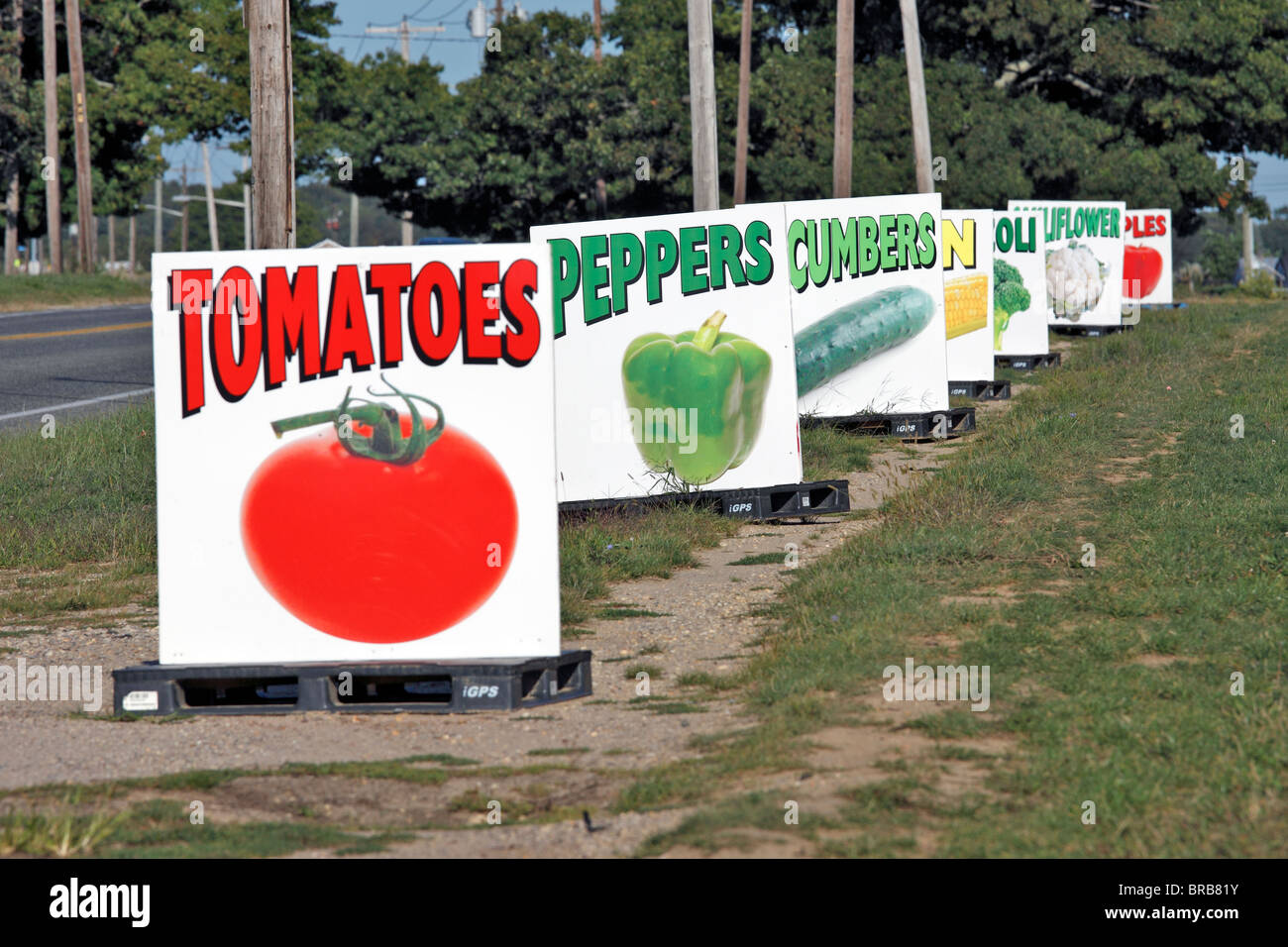 Panneaux routiers menant à Long Island NY farmstand Banque D'Images