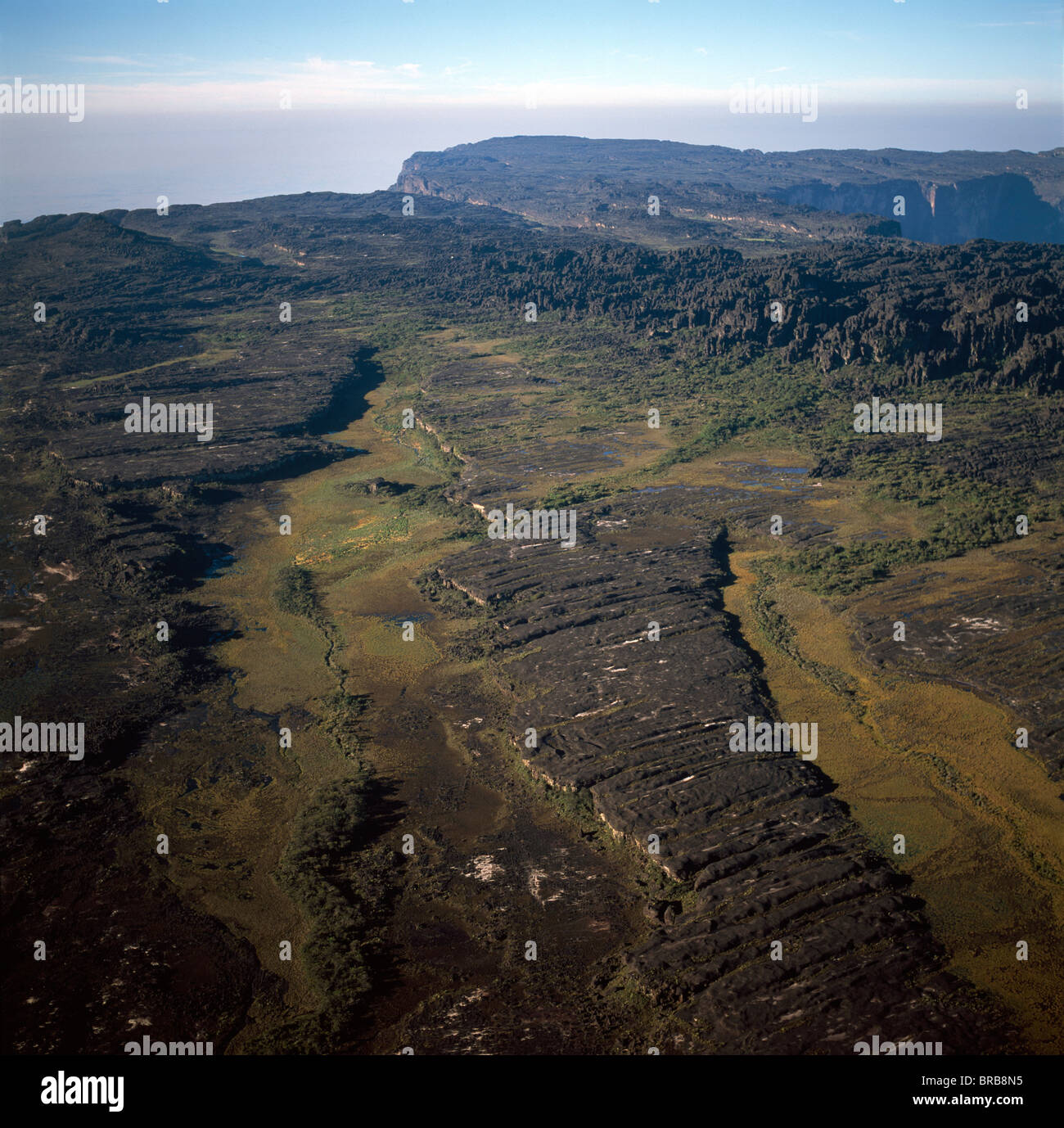 Image aérienne de tepuis montrant les marais et les labyrinthes rock, Roraima, Venezuela Banque D'Images