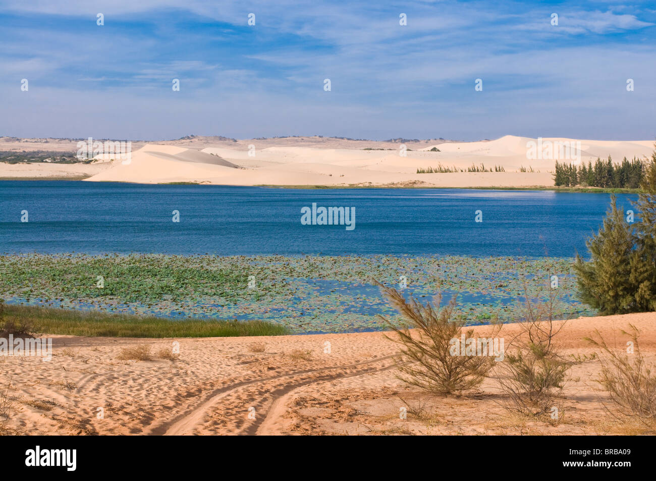 Les dunes de sable de Mui Ne, Vietnam, Indochine, Asie du Sud-Est, l'Asie Banque D'Images