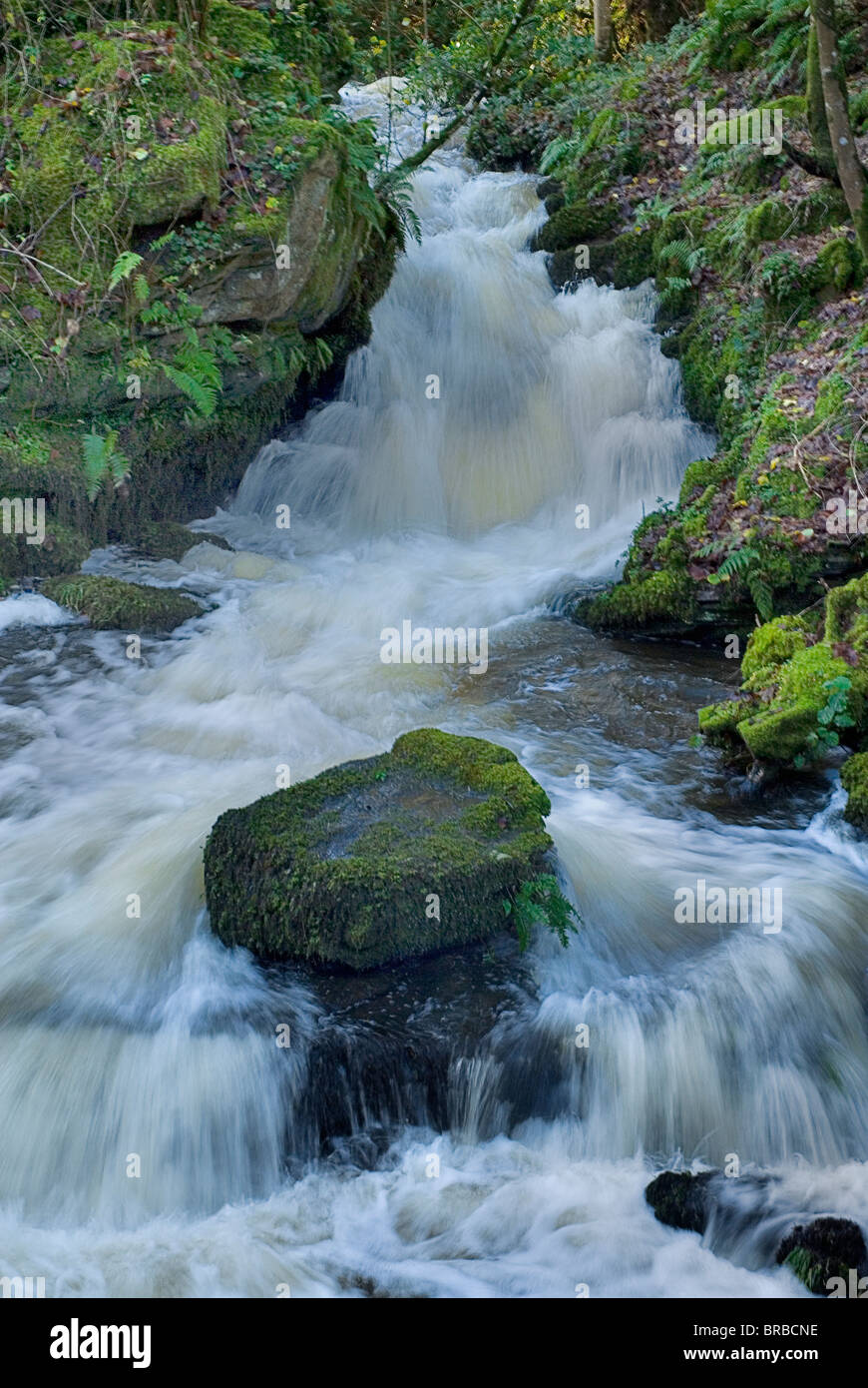 Le comté de Monaghan IRLANDE Canale (Forest Park Banque D'Images