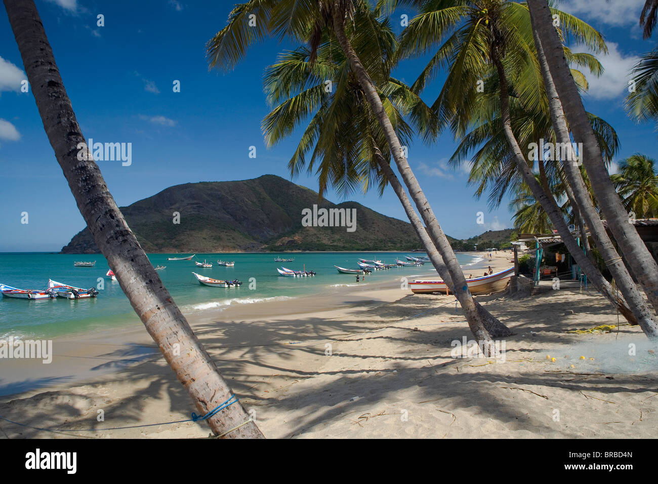 L'île de Margarita au Venezuela Playa La Galera Banque D'Images