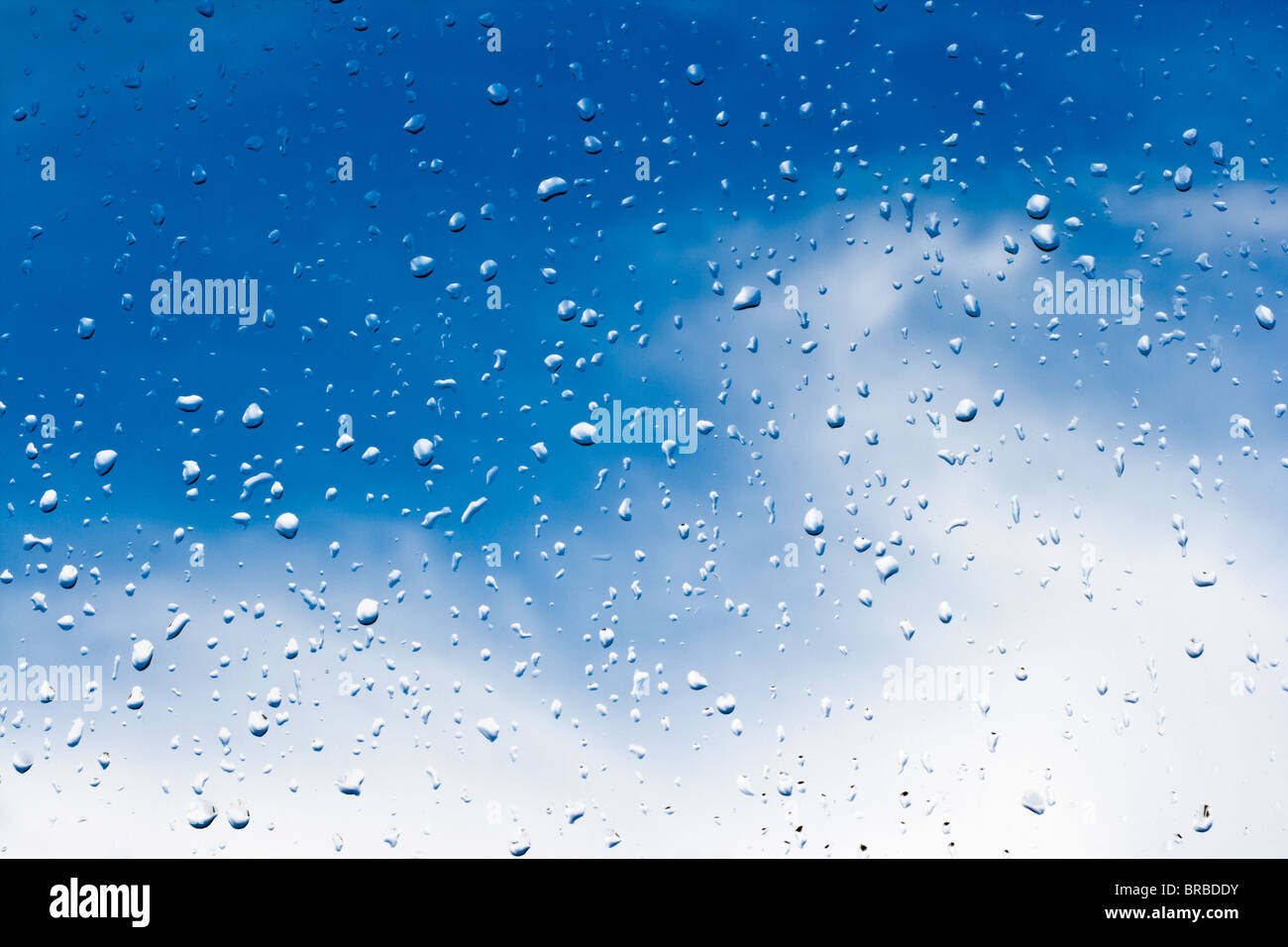Rainsdrops sur une fenêtre avec un fond de ciel bleu Banque D'Images