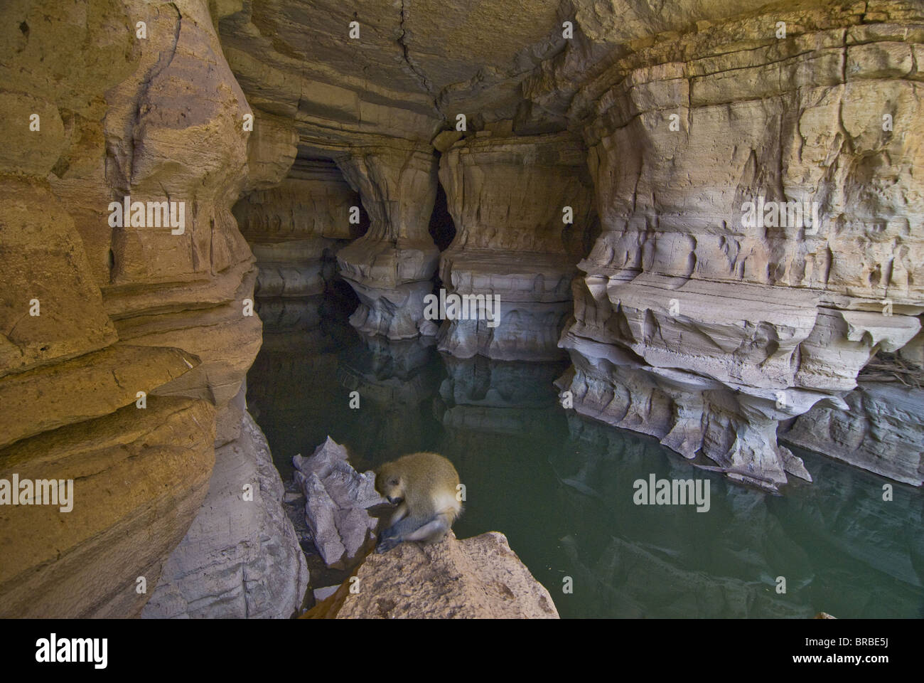 Le plus grand système de grottes en Afrique, Ethiopie, Omar Sof Banque D'Images