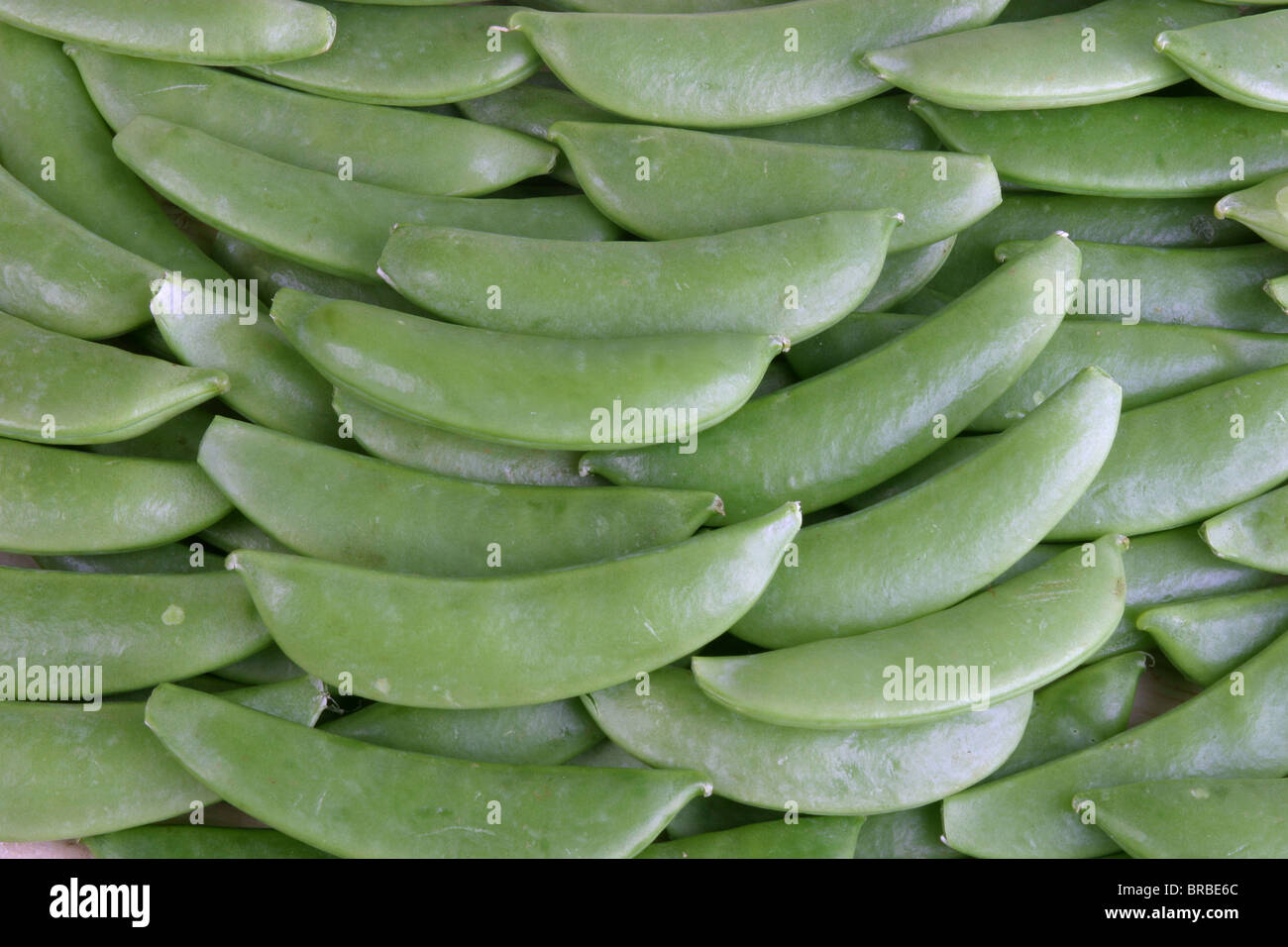 Pois sugar snap Banque D'Images