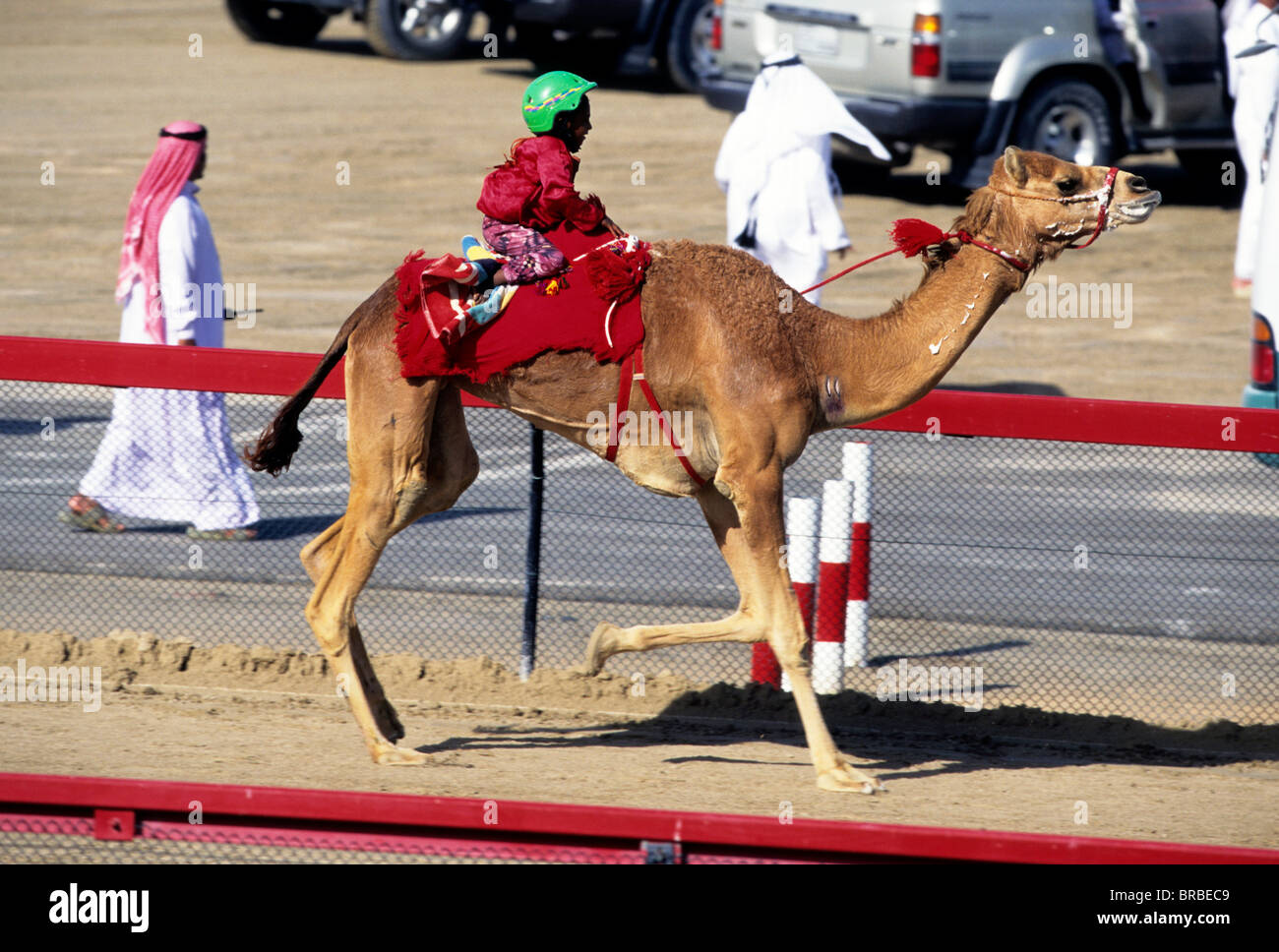 Un chameau de course jockey enfant Banque D'Images