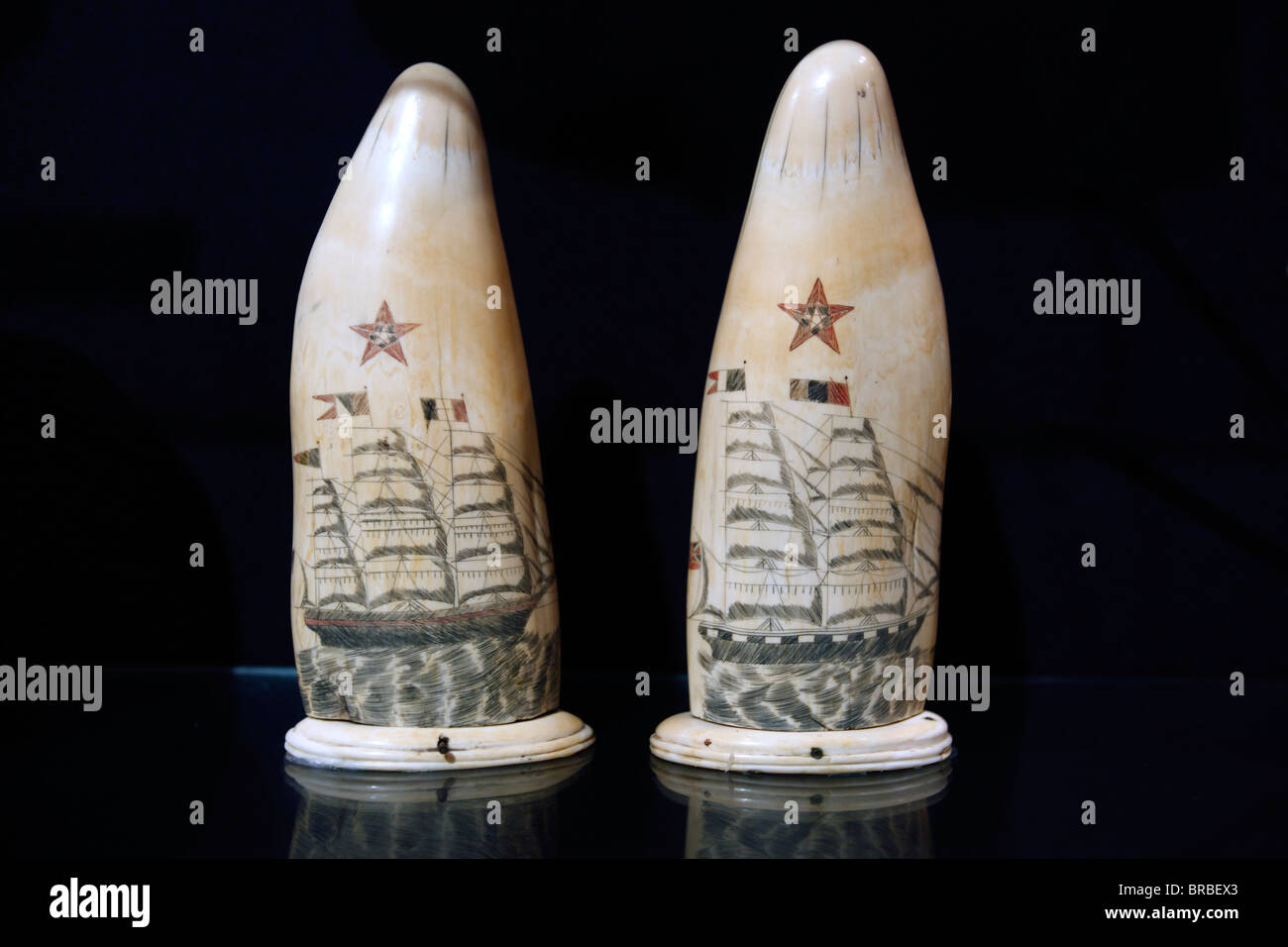 Le Scrimshaw sur les baleines des dents, New Bedford Whaling Museum, New Bedford, Massachusetts Banque D'Images