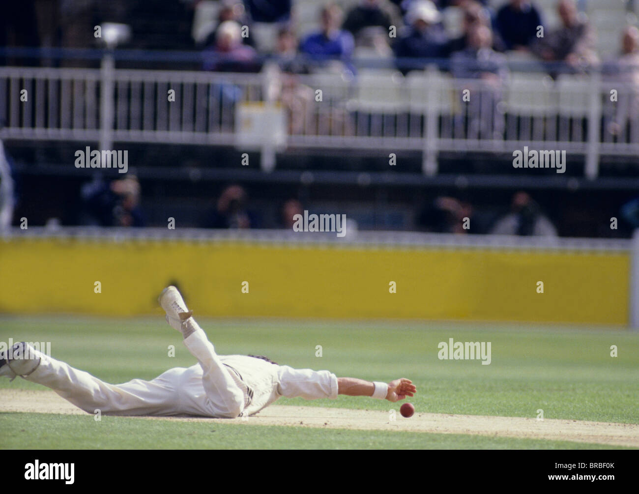 Plongée sous-marine pour la balle de cricket Banque D'Images