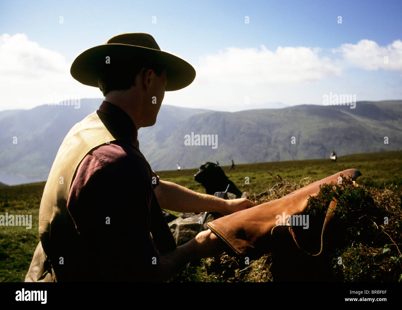 L'homme à la chasse avec son chien Banque D'Images