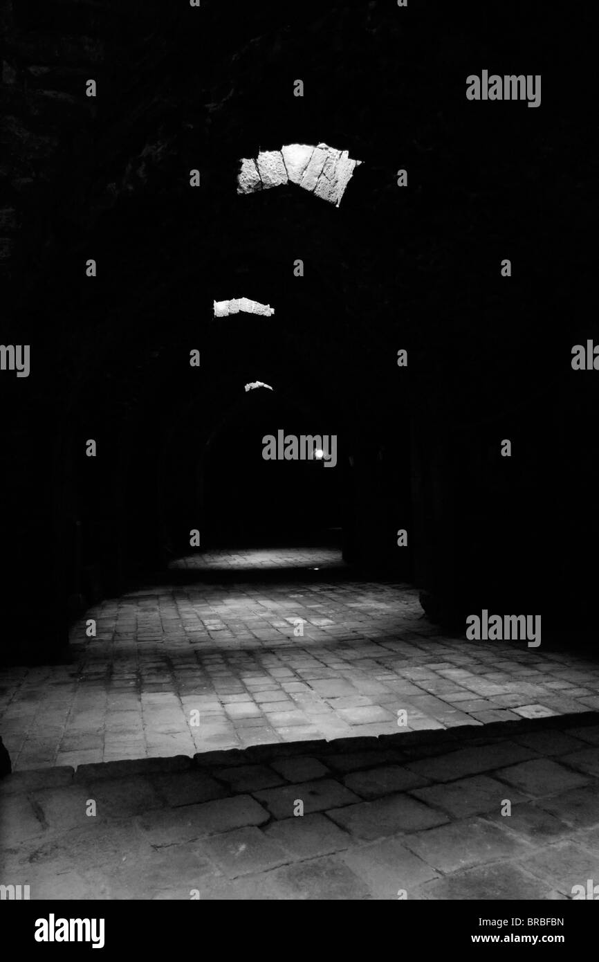 Dark passage éclairé par le toit à l'amphithéâtre romain de Bosra, en Syrie. Banque D'Images